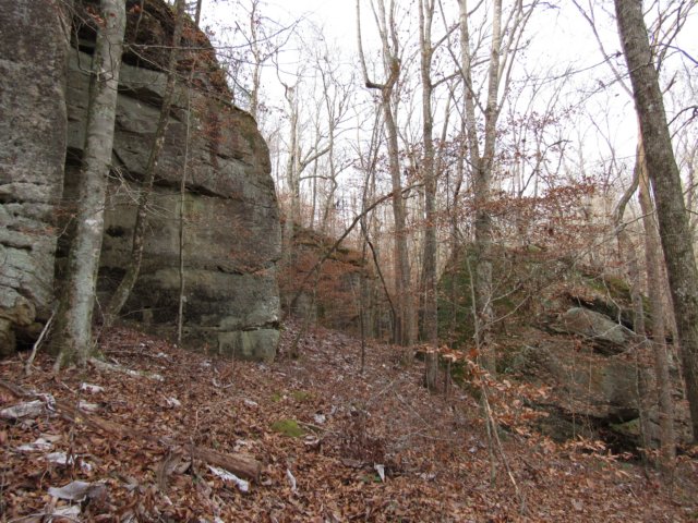 img_4962.jpg