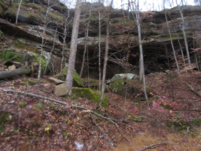 img_5549.jpg