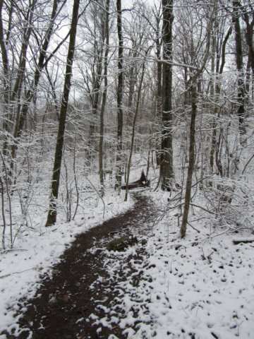img_7895.jpg