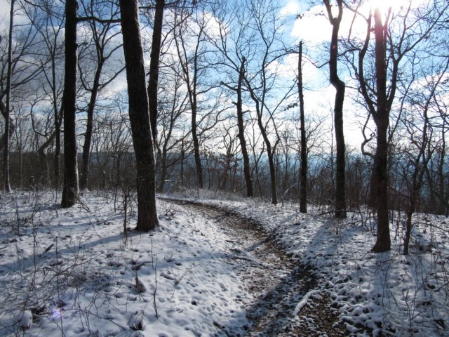 img_7933.jpg