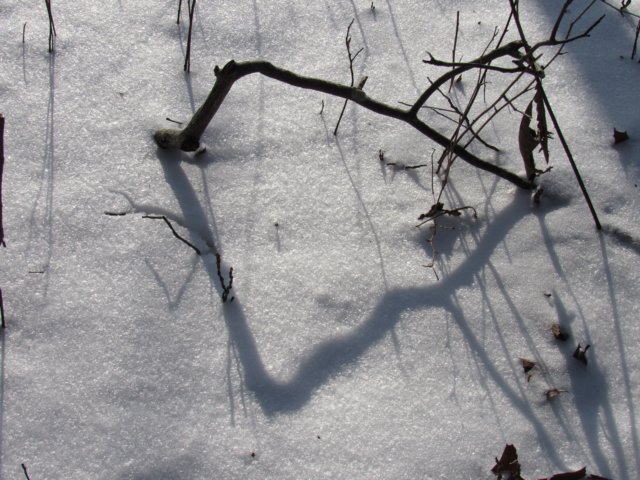 img_7944.jpg