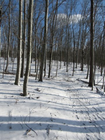 img_7951.jpg
