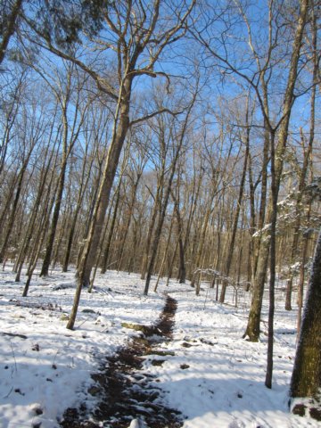 img_8058.jpg