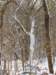 img_8076_small.jpg