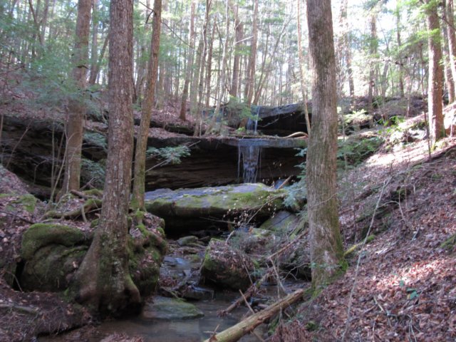 img_8568.jpg
