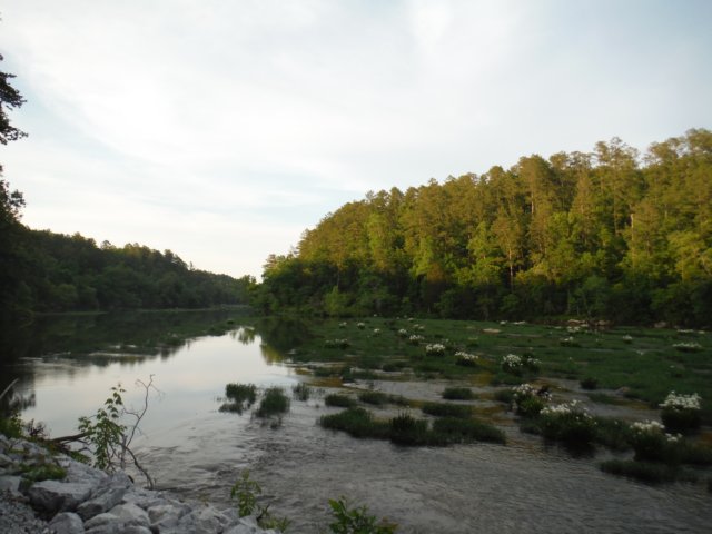 cahabariver.jpg