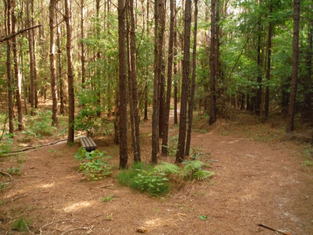 dscf4083.jpg