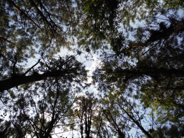 dscf4084.jpg