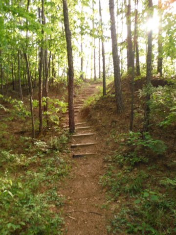 dscf4140.jpg