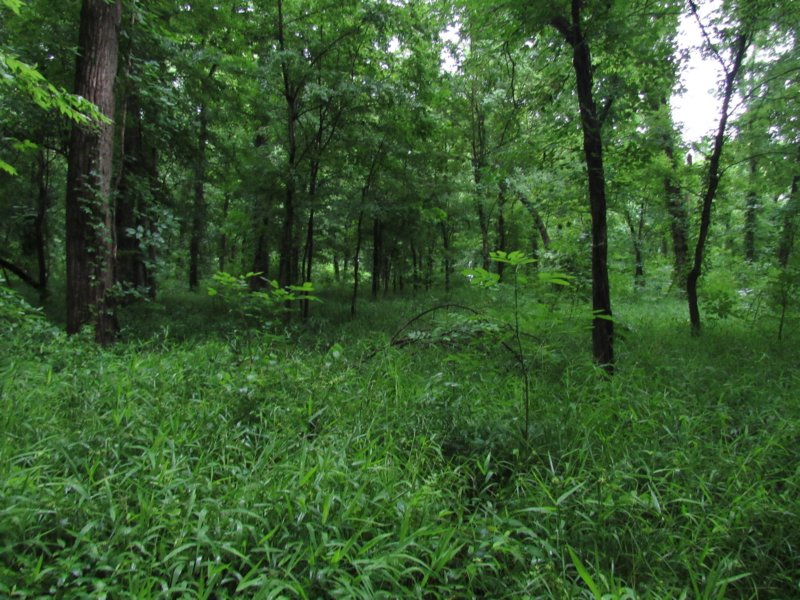sx520img_1057.jpg