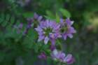 img_2904_small.jpg