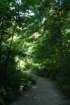 img_2919_small.jpg