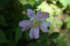 img_2993_small.jpg
