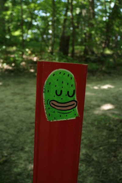 img_3005.jpg