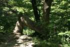 img_3015_small.jpg