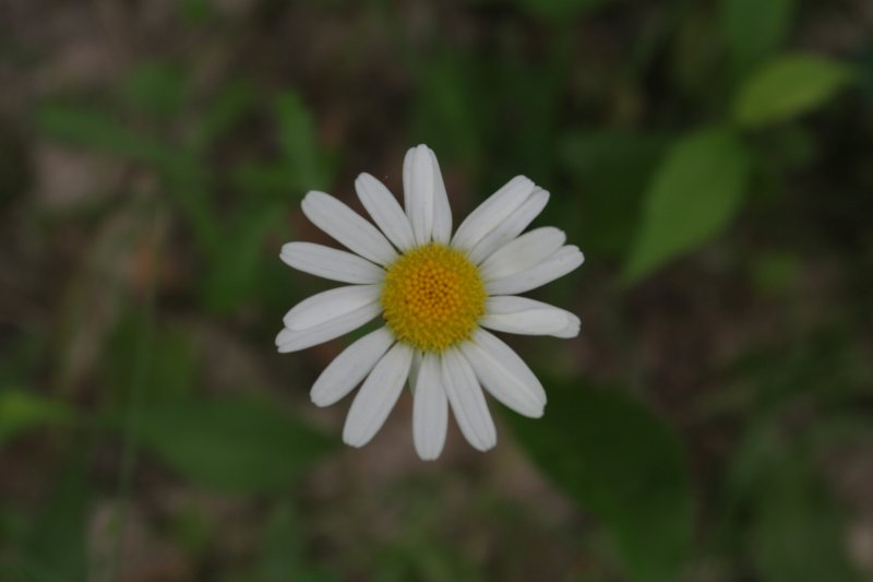 img_3822.jpg