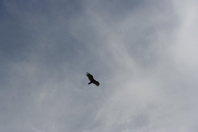 img_4116.jpg