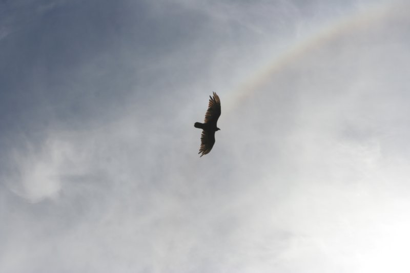 img_4120.jpg