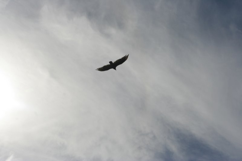 img_4122.jpg