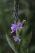 img_4220_small.jpg