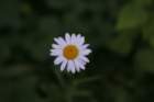 img_4264_small.jpg