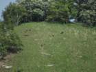 sx520img_1524_small.jpg