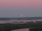 sx520img_1591_small.jpg