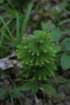 img_4780_small.jpg