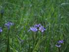 sx520img_1673_small.jpg
