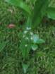 sx520img_1676_small.jpg