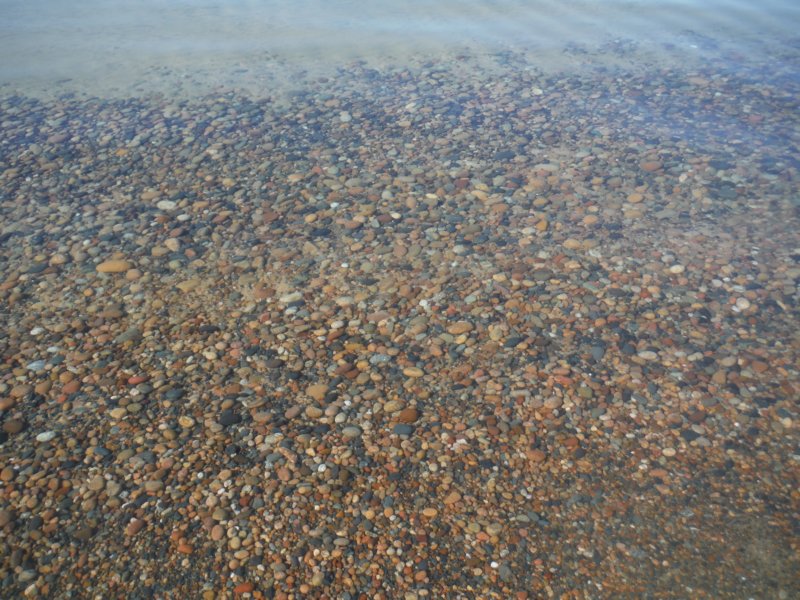 fuji_dscf7105.jpg