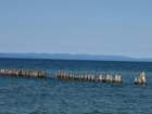 sx520img_1729_small.jpg