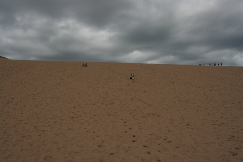 img_7290.jpg