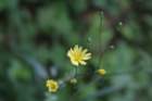 img_7610_small.jpg