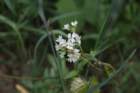 img_7625_small.jpg