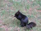 sx520img_1973_small.jpg