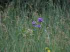 sx520img_1986_small.jpg