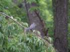 sx520img_1995_small.jpg