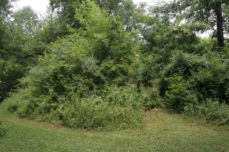 adenaindianmound.jpg