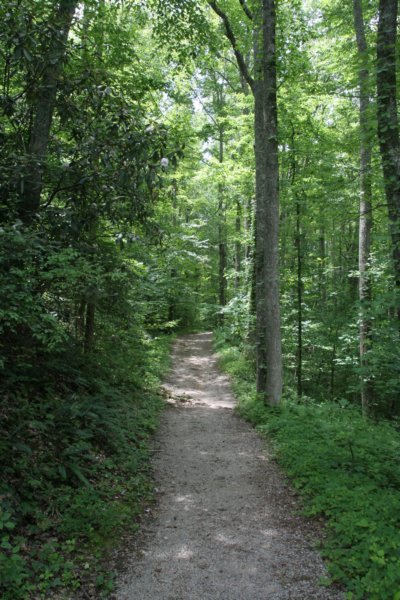 img_9496.jpg
