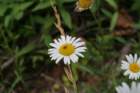 img_9540_small.jpg