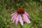 img_9546_small.jpg