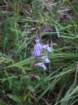 dscf7184_small.jpg