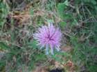 dscf7189_small.jpg