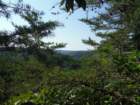 dscf7195_small.jpg