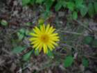 dscf7205_small.jpg
