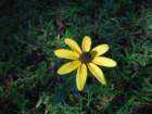 dscf7209_small.jpg