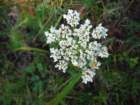 dscf7210_small.jpg