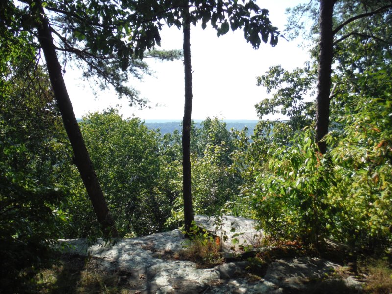 dscf7220.jpg