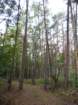 dscf7228_small.jpg